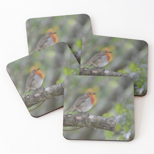 Item preview, European Robin Bird designed and sold by Emma Martinez.