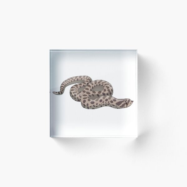 Artikelvorschau, Western Hognose snake entworfen und verkauft von EllisFalcomer.