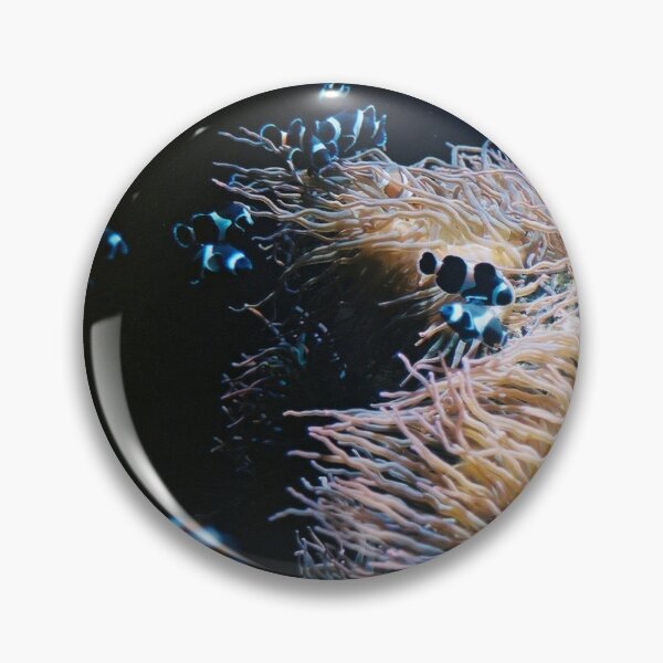 Item preview, Fish film photo designed and sold by meganunion.