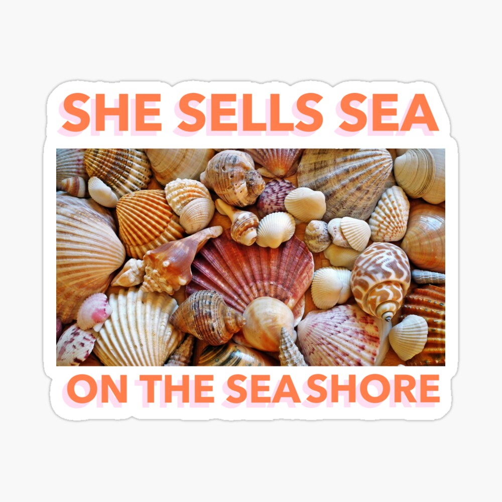 She Sells Sea Shells stamp set