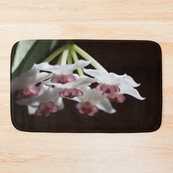 Item preview, Hoya Bella Blossom designed and sold by ztrnorge.