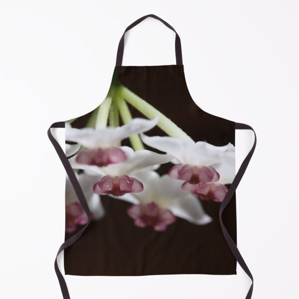 Item preview, Hoya Bella Blossom designed and sold by ztrnorge.