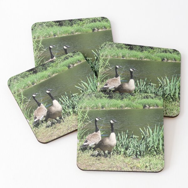 Item preview, Pond Geese designed and sold by Djjin66.