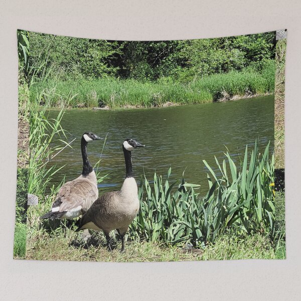Item preview, Pond Geese designed and sold by Djjin66.