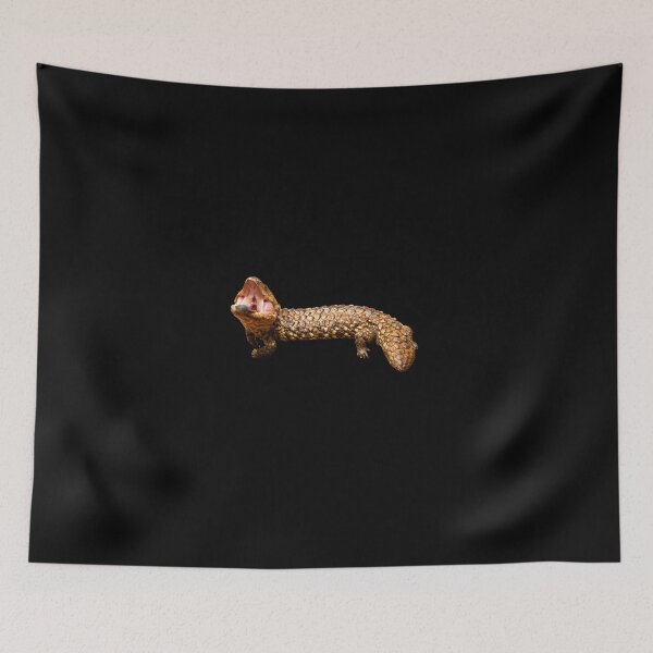 Item preview, Shingleback Lizard designed and sold by CNZdenek.