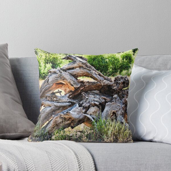 Item preview, Deadwood on Cherry Creek Trail 4  designed and sold by Robert Meyers-Lussier.