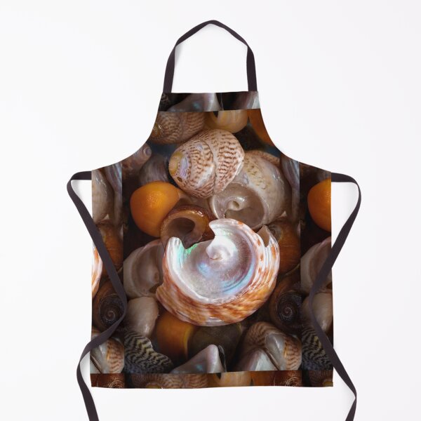Item preview, Tide Treasure - Orkney shells designed and sold by John Dewar.