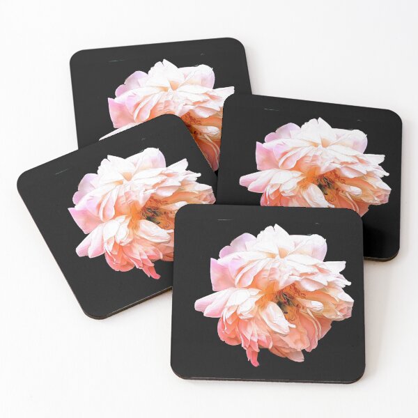 Item preview, Light Peony on a Black Background designed and sold by SeaChangeDesign.