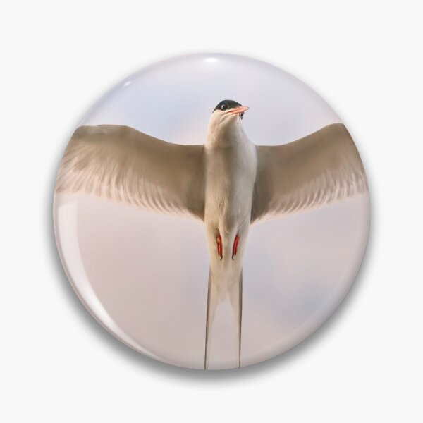 Item preview, Tern Symmetry - Bird  designed and sold by John Dewar.