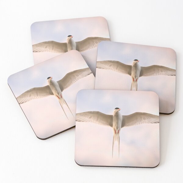 Item preview, Tern Symmetry - Bird  designed and sold by John Dewar.
