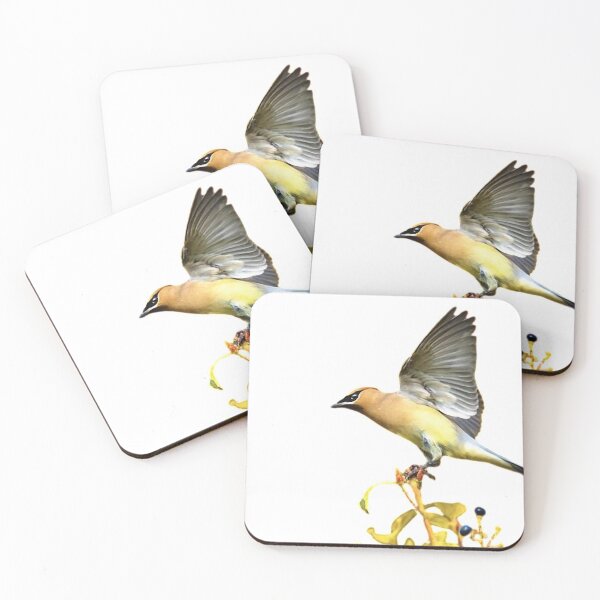 Item preview, Oriole, also known as Oriole, is the general name of Oriole. designed and sold by zenger2021.