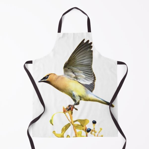 Item preview, Oriole, also known as Oriole, is the general name of Oriole. designed and sold by zenger2021.