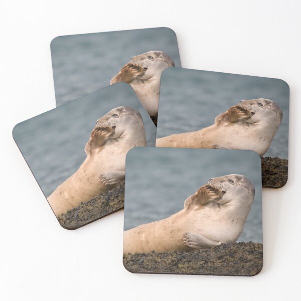 Item preview, Oh No! - Cute Seal designed and sold by John Dewar.