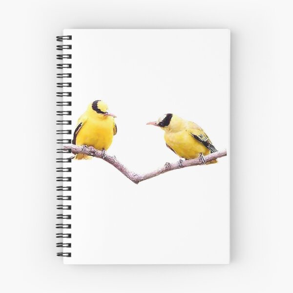 Item preview, Orioles are birds of the genus Orioles, Passerines, Orioles, and Orioles. designed and sold by zenger2021.