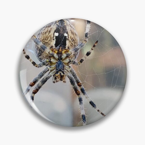 Item preview, Garden Spider  designed and sold by Emma Martinez.
