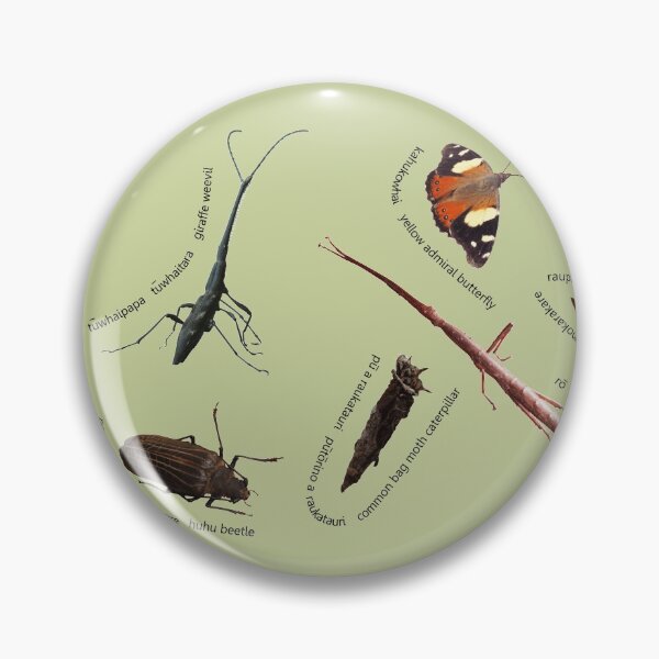 Item preview, Insects  Aotearoa designed and sold by MHen.