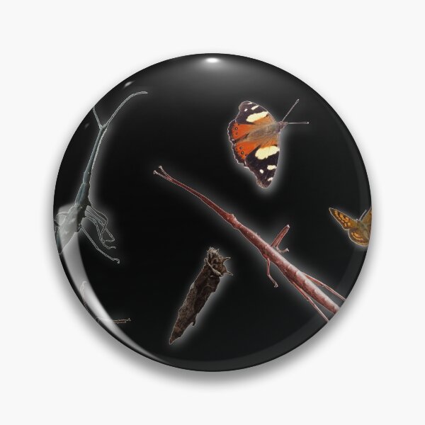 Item preview, Insects  Aotearoa designed and sold by MHen.