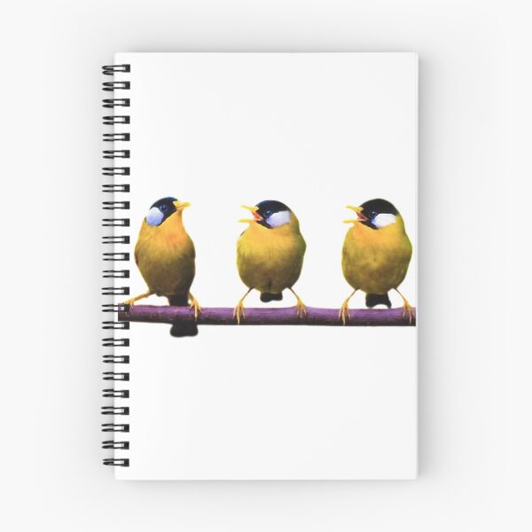 Item preview, Introduction to Orioles, How to Raise Orioles designed and sold by zenger2021.