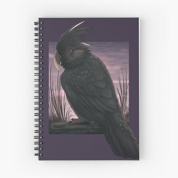Item preview, Sleepy palm cockatoo designed and sold by DragonArtist15.