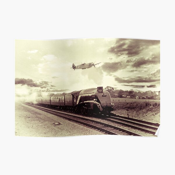 Spitfire and Mallard Poster