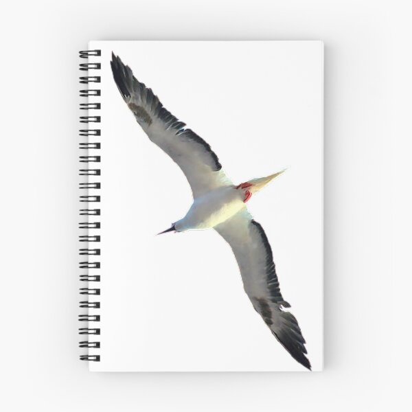 Item preview, Albatross, the largest, most flying, and most loyal bird on earth designed and sold by zenger2021.