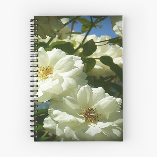 Item preview, Bridal White at State Rose Garden-Spring 2009 designed and sold by EdsMum.