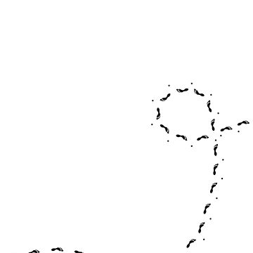 Artwork thumbnail, Footprints in the Sand by Tim Serong