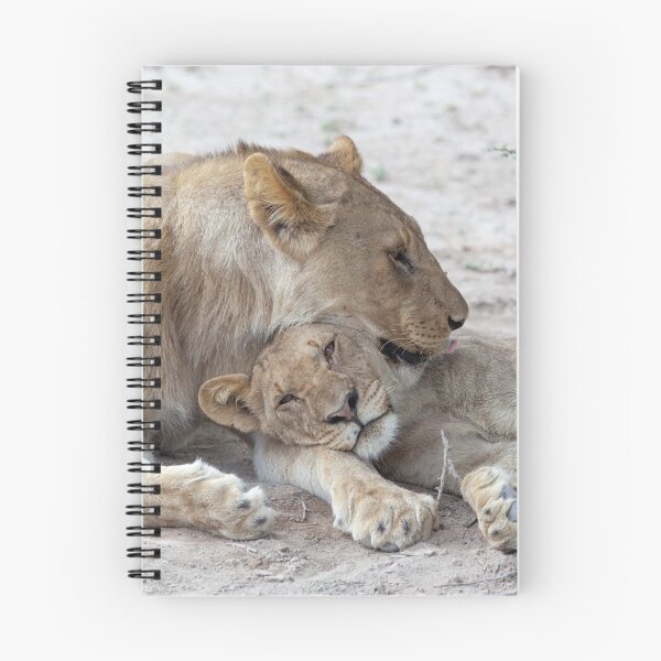 Item preview, Etosha National Park Namibia Lion (Panthera leo) and cub. designed and sold by kytefoto.