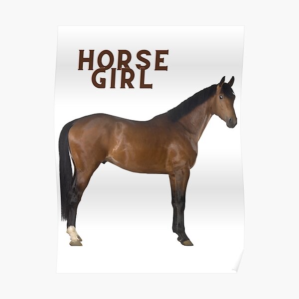 "horse girl meme art" Poster for Sale by Cadgescrap Redbubble