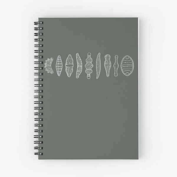 Item preview, diatom morphologies lineup designed and sold by cyanochic.