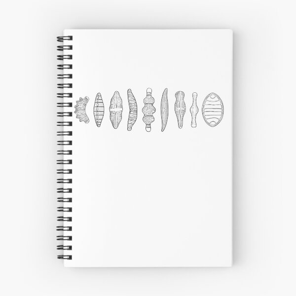 Item preview, diatom morphologies lineup black designed and sold by cyanochic.