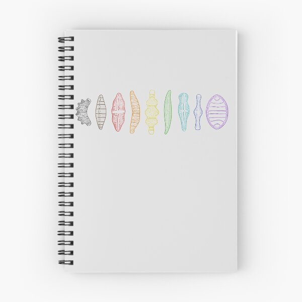 Item preview, diatom morphologies lineup pride rainbow designed and sold by cyanochic.