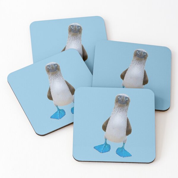 Item preview, Blue foot penguin photo designed and sold by Nostrathomas66.