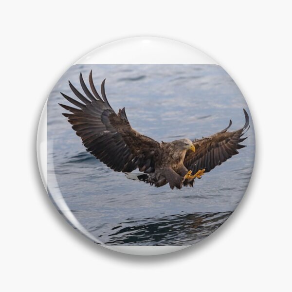 Item preview, Eagle is a polysemous word, a collective term for raptors of the eagle subfamily. designed and sold by zenger2021.