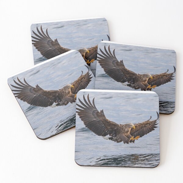 Item preview, Eagle is a polysemous word, a collective term for raptors of the eagle subfamily. designed and sold by zenger2021.