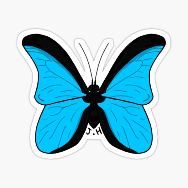 Blue Butterfly Sticker, Morpho Anaxibia Realistic Stickers Laptop Viny –  Starcove Fashion