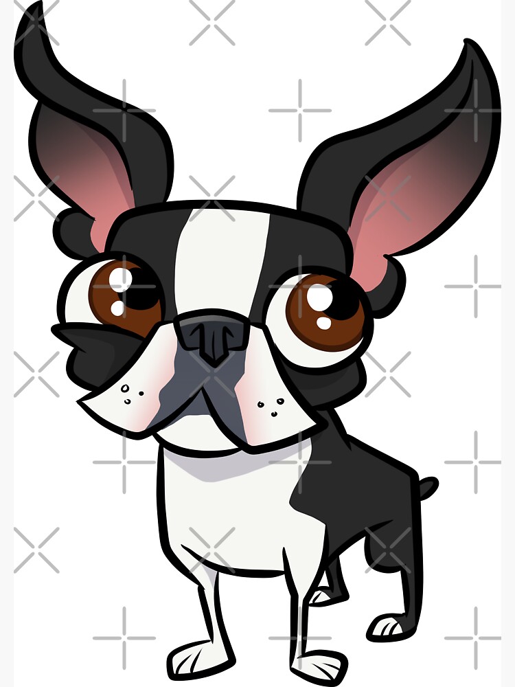 Boston Terrier by binarygod