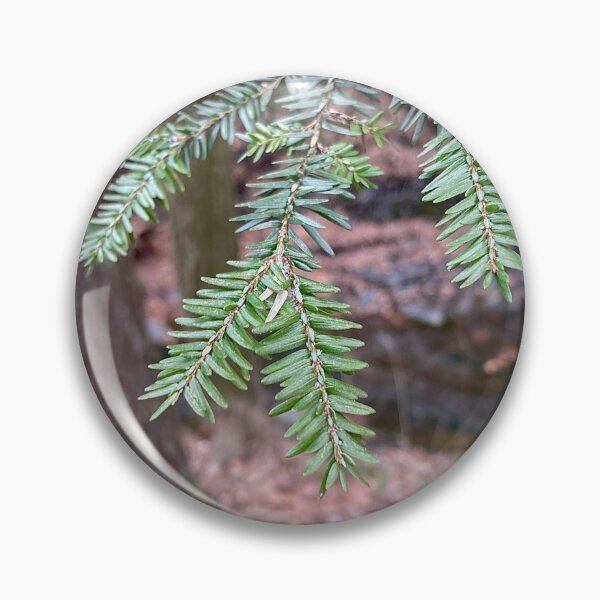 Item preview, HEMLOCK: An Evergreen designed and sold by Max Kindly.