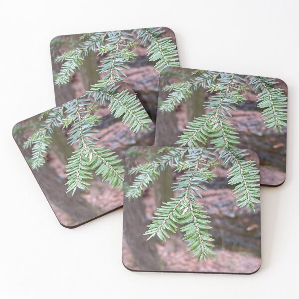 Item preview, HEMLOCK: An Evergreen designed and sold by Max Kindly.