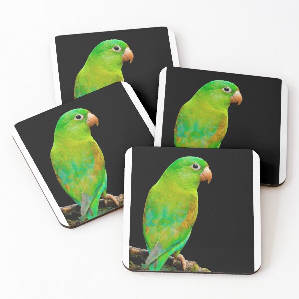 Item preview, The green parrot is a budgerigar, the original species, namely the original green designed and sold by zenger2021.