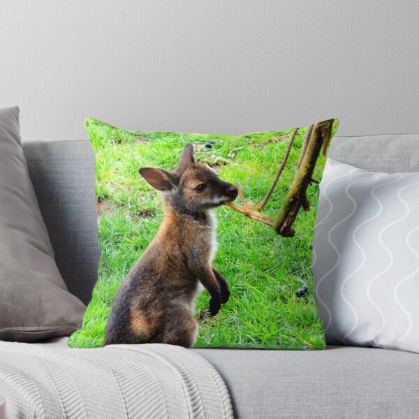 Item preview, Joey designed and sold by Barnbk02.