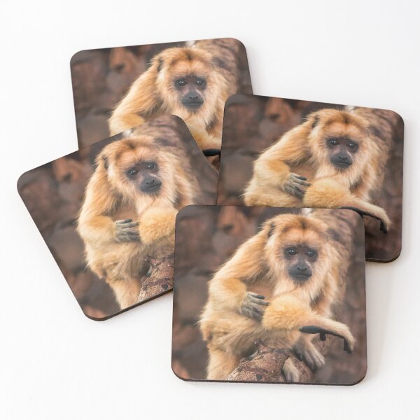 Item preview, Baby Howler Monkey Climing at the Zoo designed and sold by Michael Deemer.