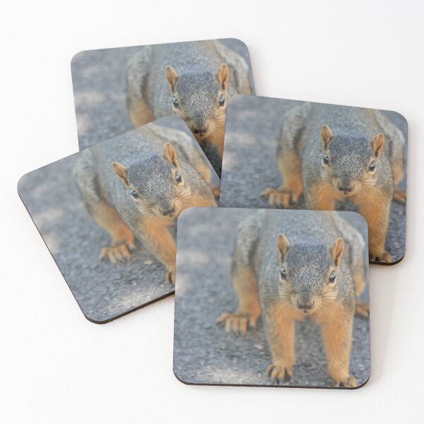 Item preview, Friendly Squirrel Says Hello designed and sold by TheSplitWindow.