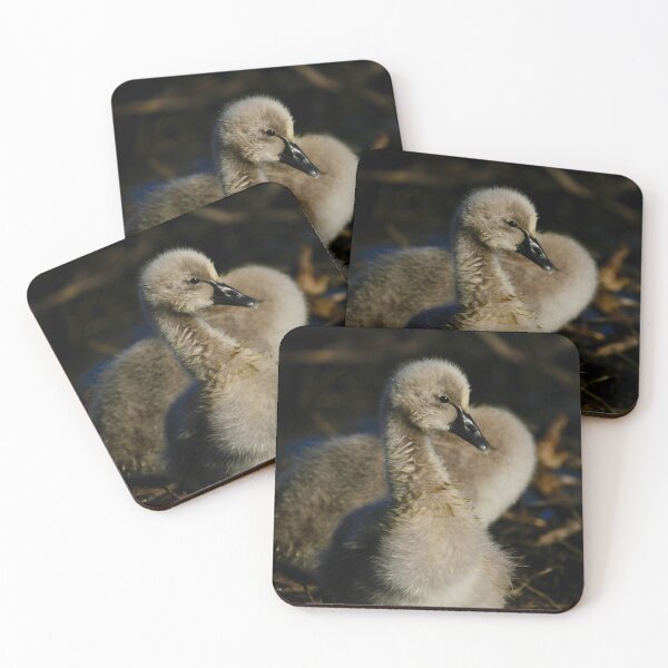 Item preview, Baby Cygnet  designed and sold by garytresize.
