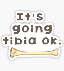 Tibia Bone Pun Sticker