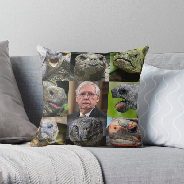 18x18 Anti Kentucky Senator Mitch McConnell Ditch Mitch Throw Pillow Multicolor 18x18 Anti Kentucky Senator Mitch McConnell Ditch Mitch Throw Pillow Multicolor