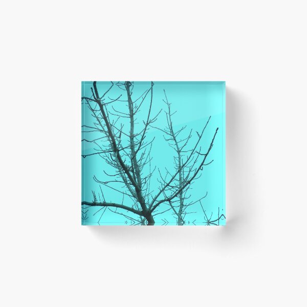 Item preview, Tree Branches with Turquoise Sky designed and sold by KeksWorkroom.