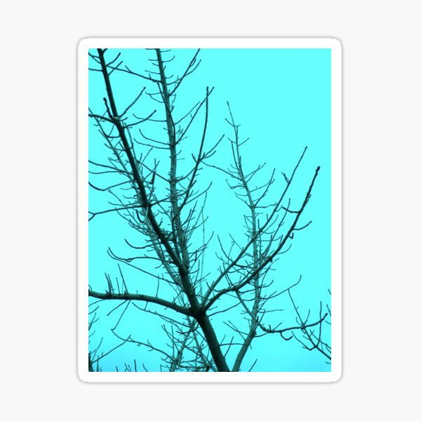 Item preview, Tree Branches with Turquoise Sky designed and sold by KeksWorkroom.