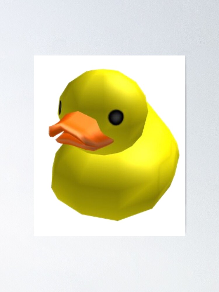 Epik Duck In A Bag - Bag Roblox T Shirt PNG Image With Transparent  Background png - Free PNG Images