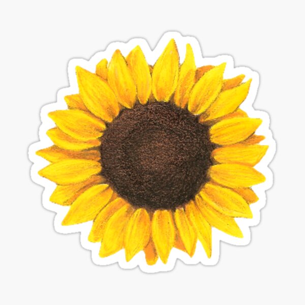 Vegan life sunflower badge reels Sunflower